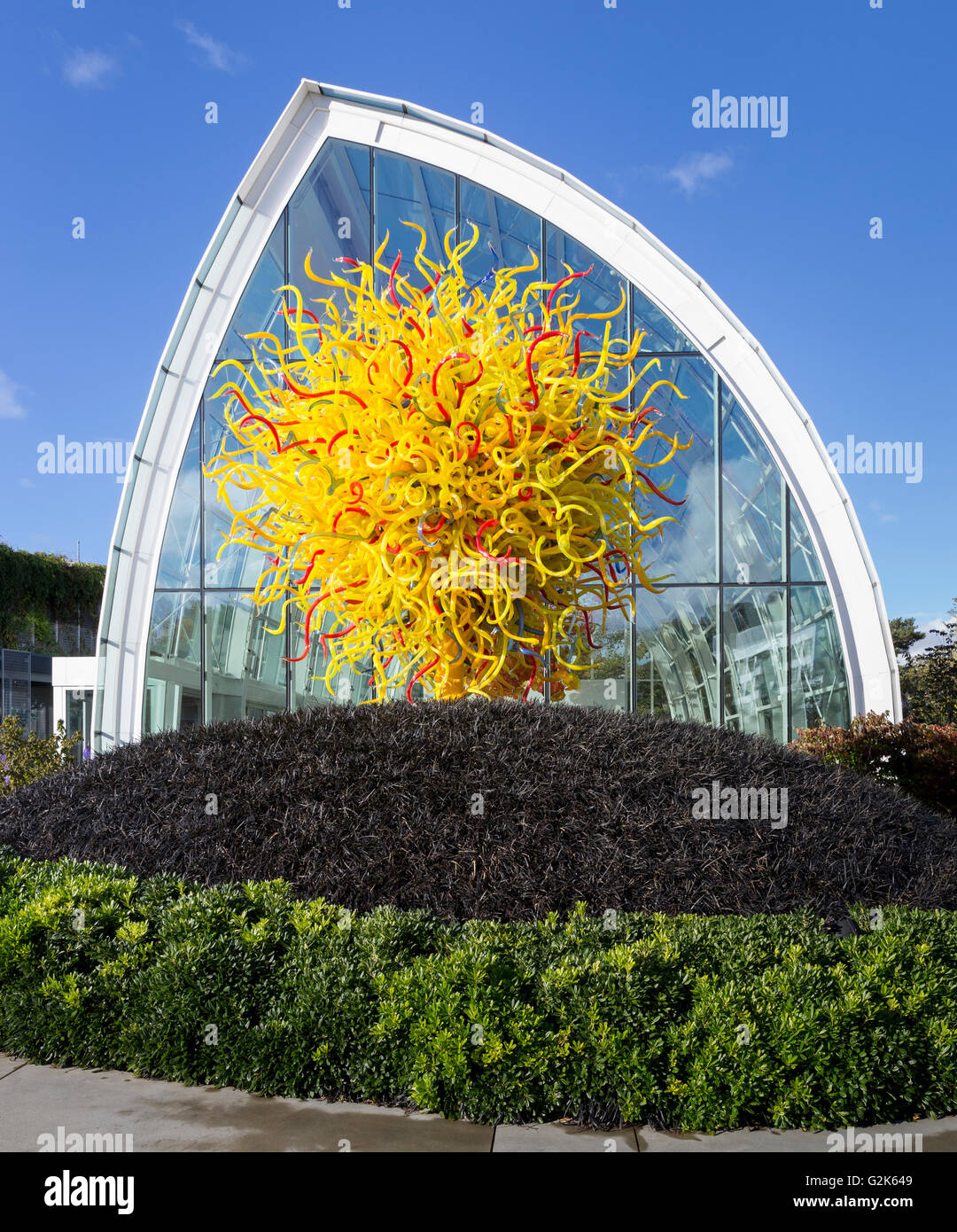 'The Sun' a glass sculpture by Dale Chihuly in front of the 'Glasshouse' at the Chihuly Garden and Glass Gallery in Seattle, WA Stock Photo