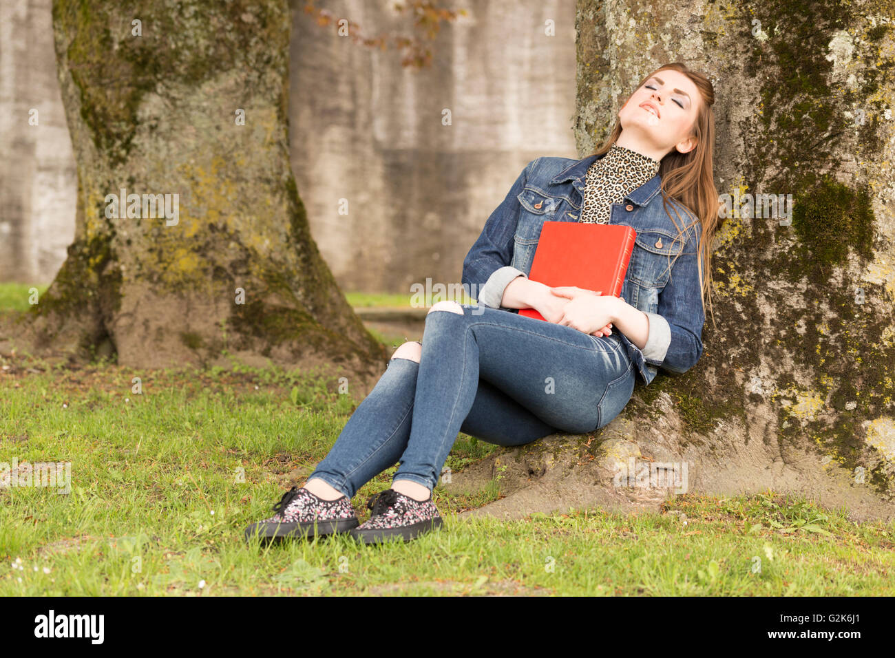 A young brown haired woman in blue jeans sitting in a park and reading a big red book. Stock Photo