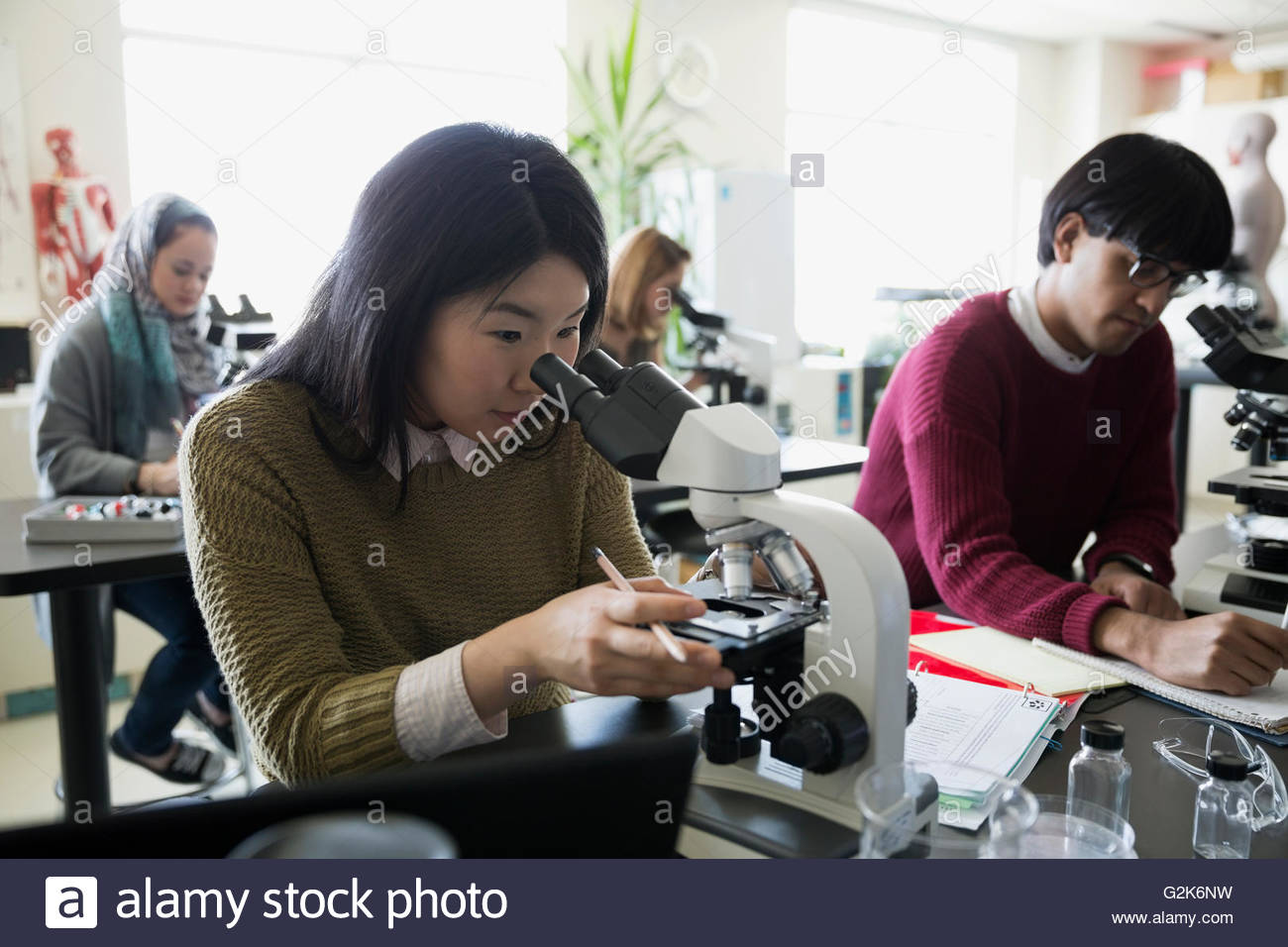 College students using microscopes in science laboratory Stock Photo Alamy