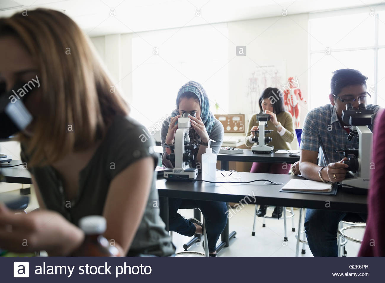 College students using microscopes in science laboratory Stock Photo Alamy