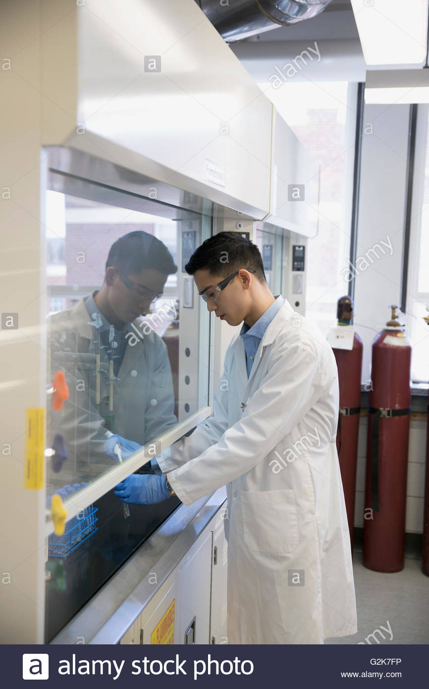 Scientist working at fume hood in laboratory Stock Photo Alamy