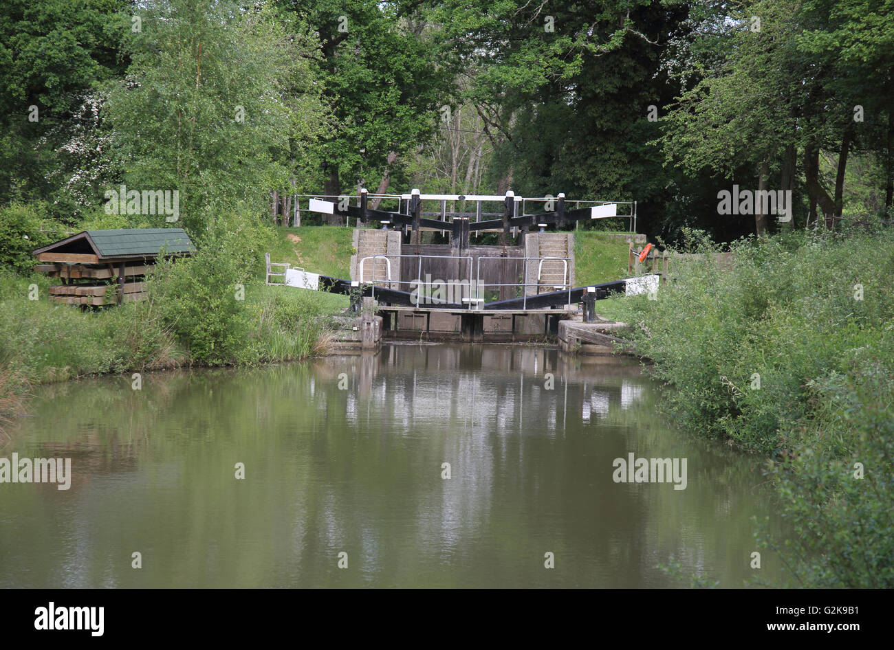 locks and narrow boats on the wey arun canal in surrey Stock Photo Alamy