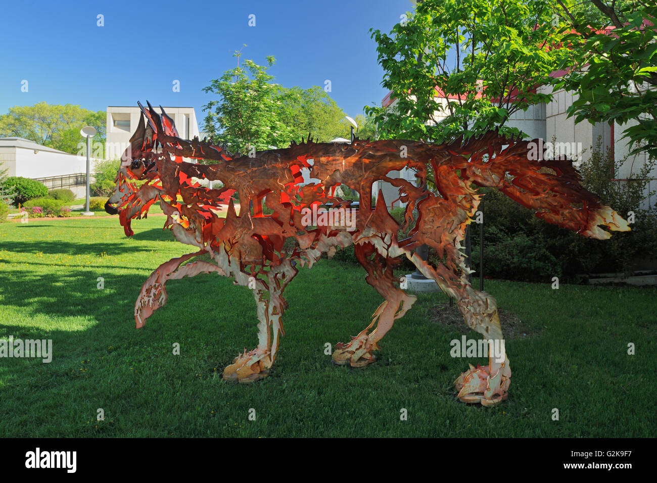 Wolf Sculpture called 'Between Dog Wolf ' in St Boniface Sculpture