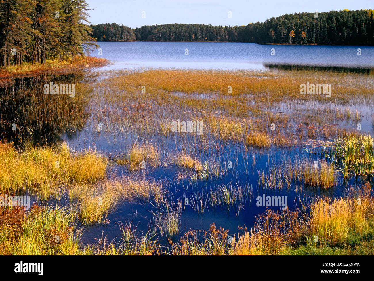 Shoreline of Huronian Lake in autumn, Quetico Provincial Park, Ontario, Canada Stock Photo