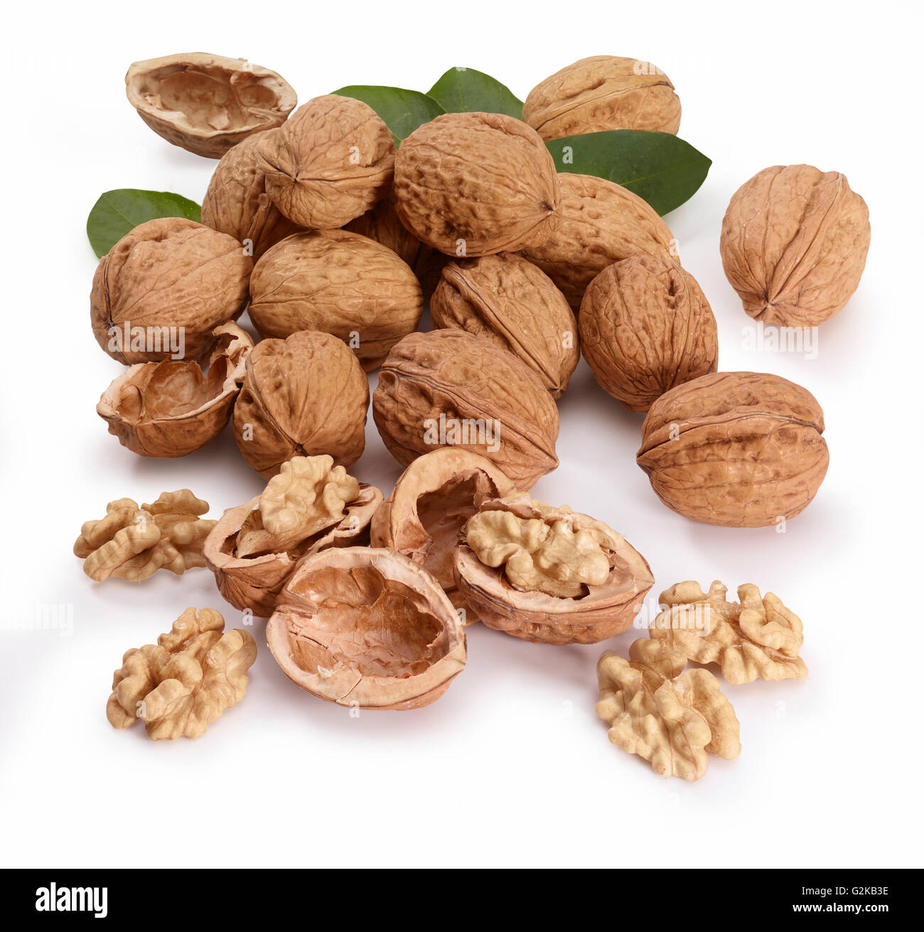Walnuts (Juglans regis), leaves, white background Stock Photo