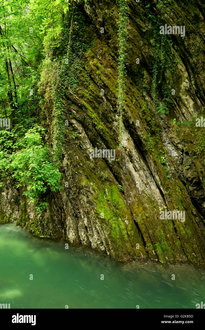 Eroded bands of limestone, rocks, River Breggia, Parco delle Gole della Breggia, Mendrisio Eroded bands of limestone, rocks, River Breggia, Parco delle Gole della Breggia, Mendrisio