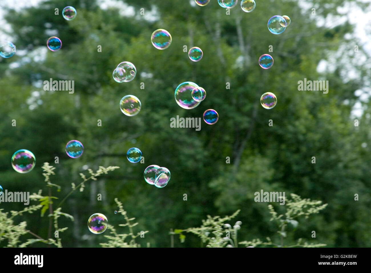 Soap Bubbles Floating into the Air Stock Photo - Alamy