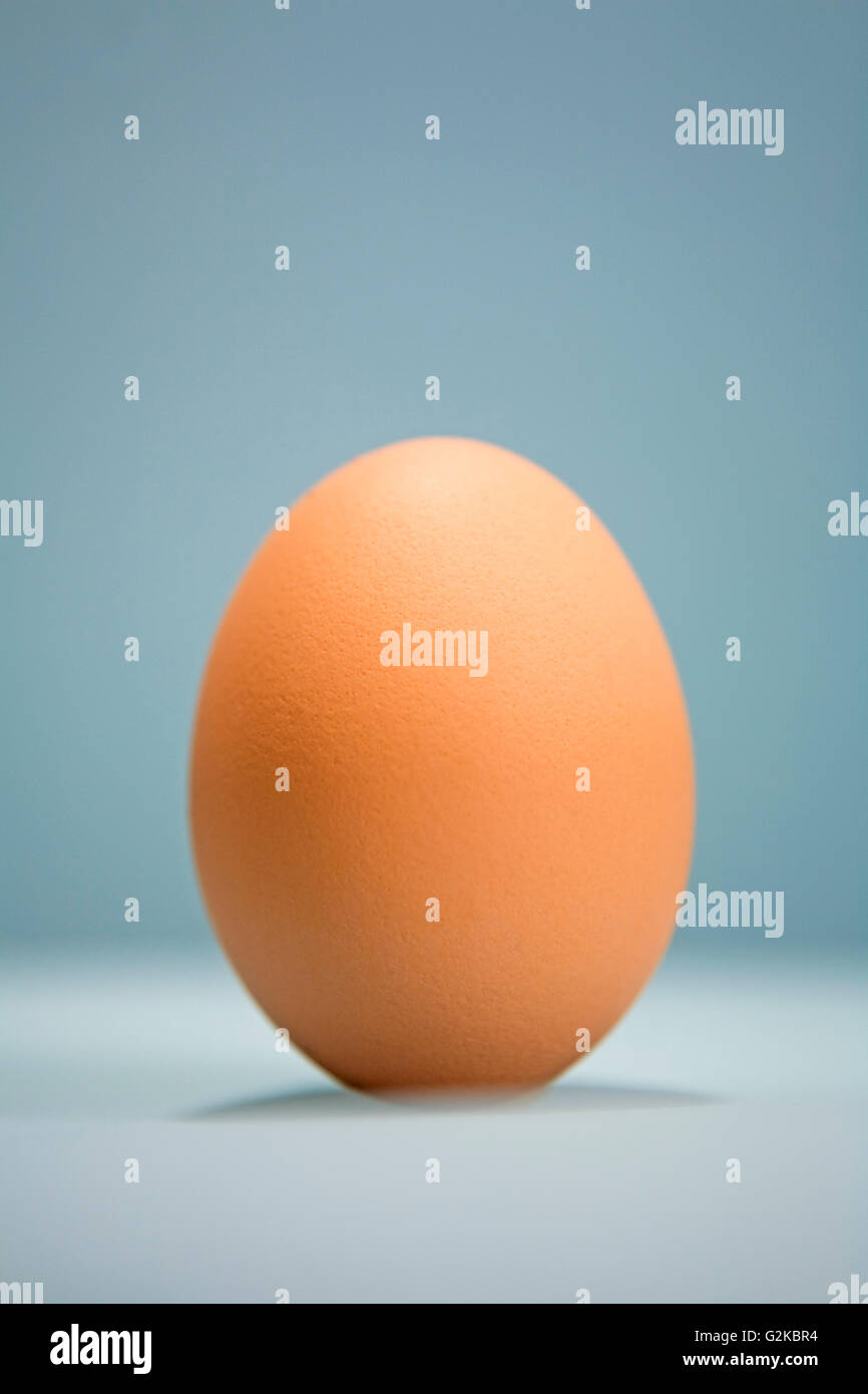 Single Brown Egg Stock Photo Alamy