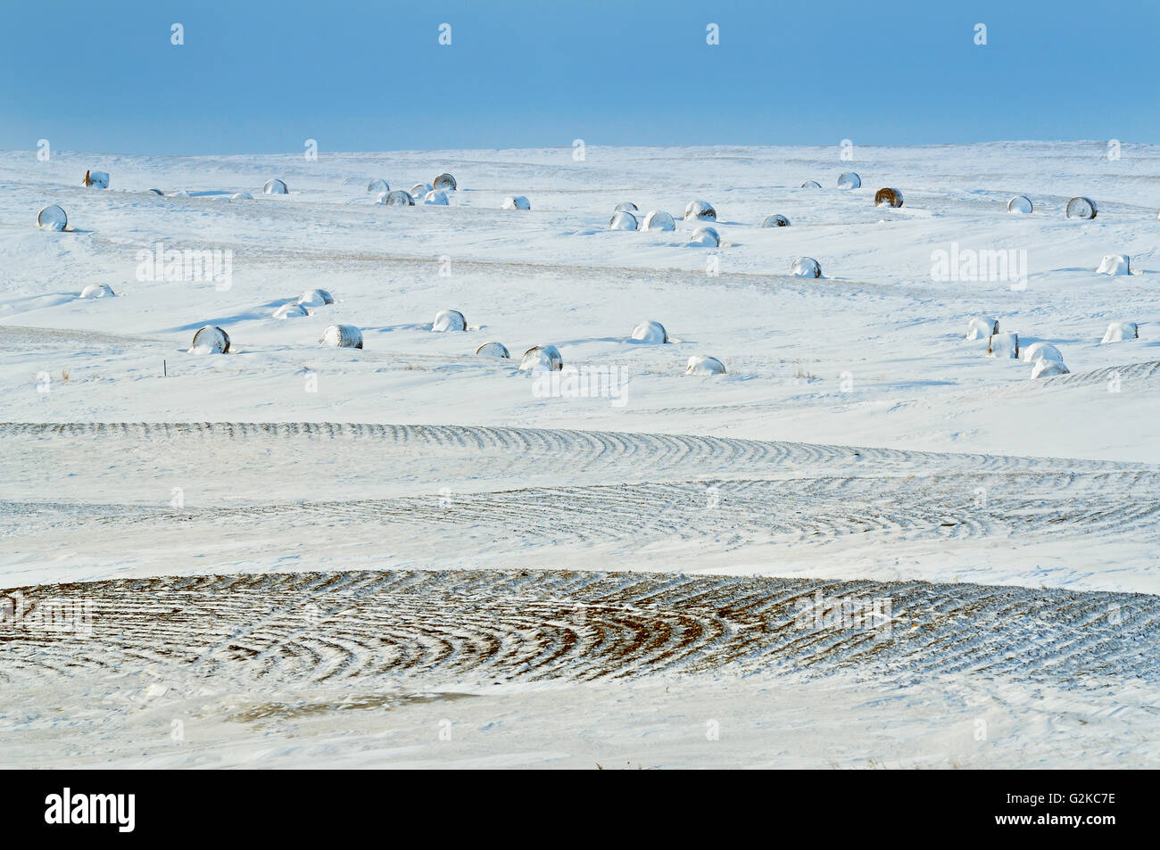 BAles in winter Viceroy Saskatchewan Canada Stock Photo Alamy