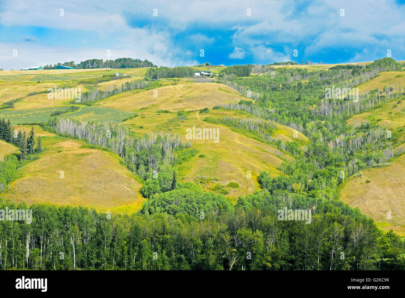 Scenic in the Peace River Valley Dunvegan Alberta Canada Stock Photo