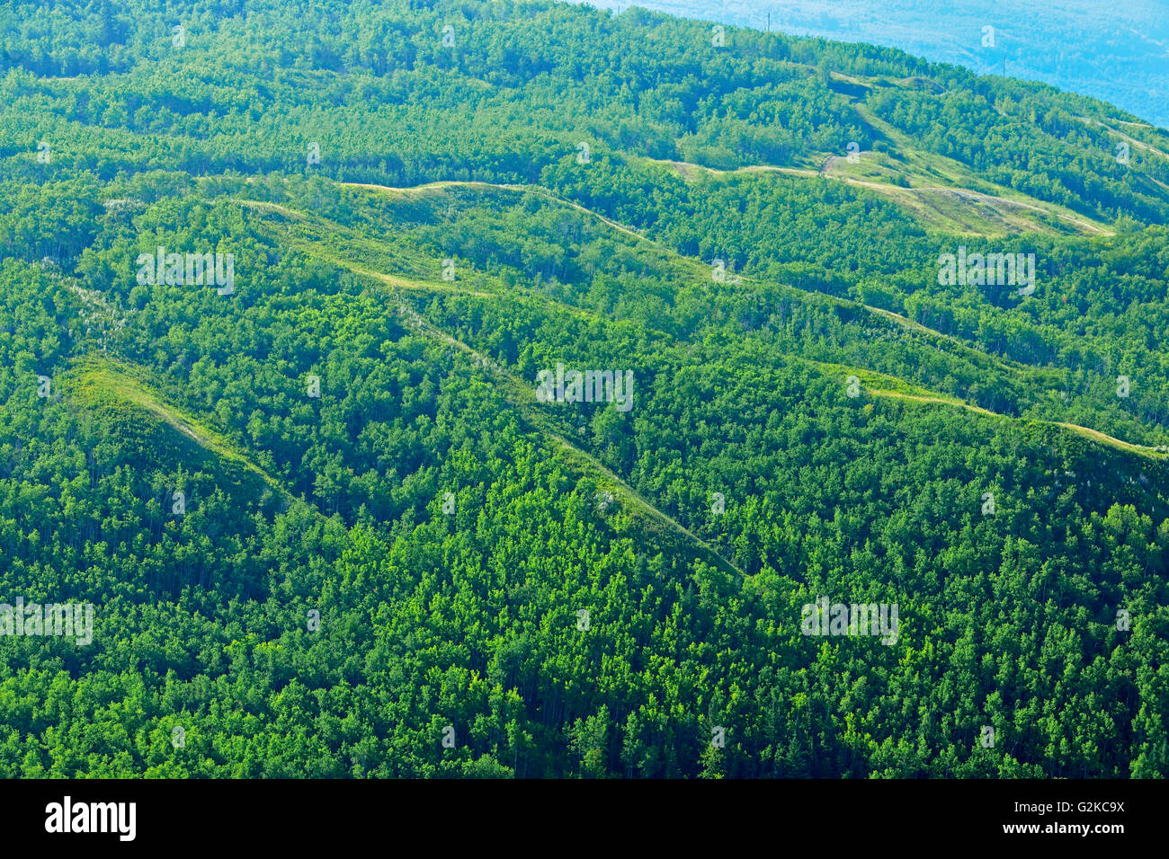 Green hills of the Peace River Forest Peace River Alberta Canada Stock Photo