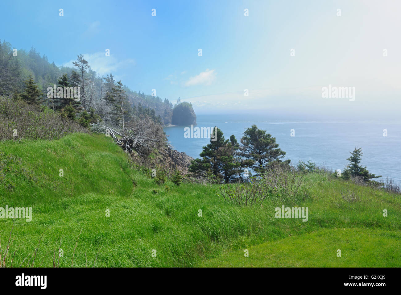 Fog along the coastline of the Bay of Fundy Cape d'Or Nova Scotia Canada Stock Photo