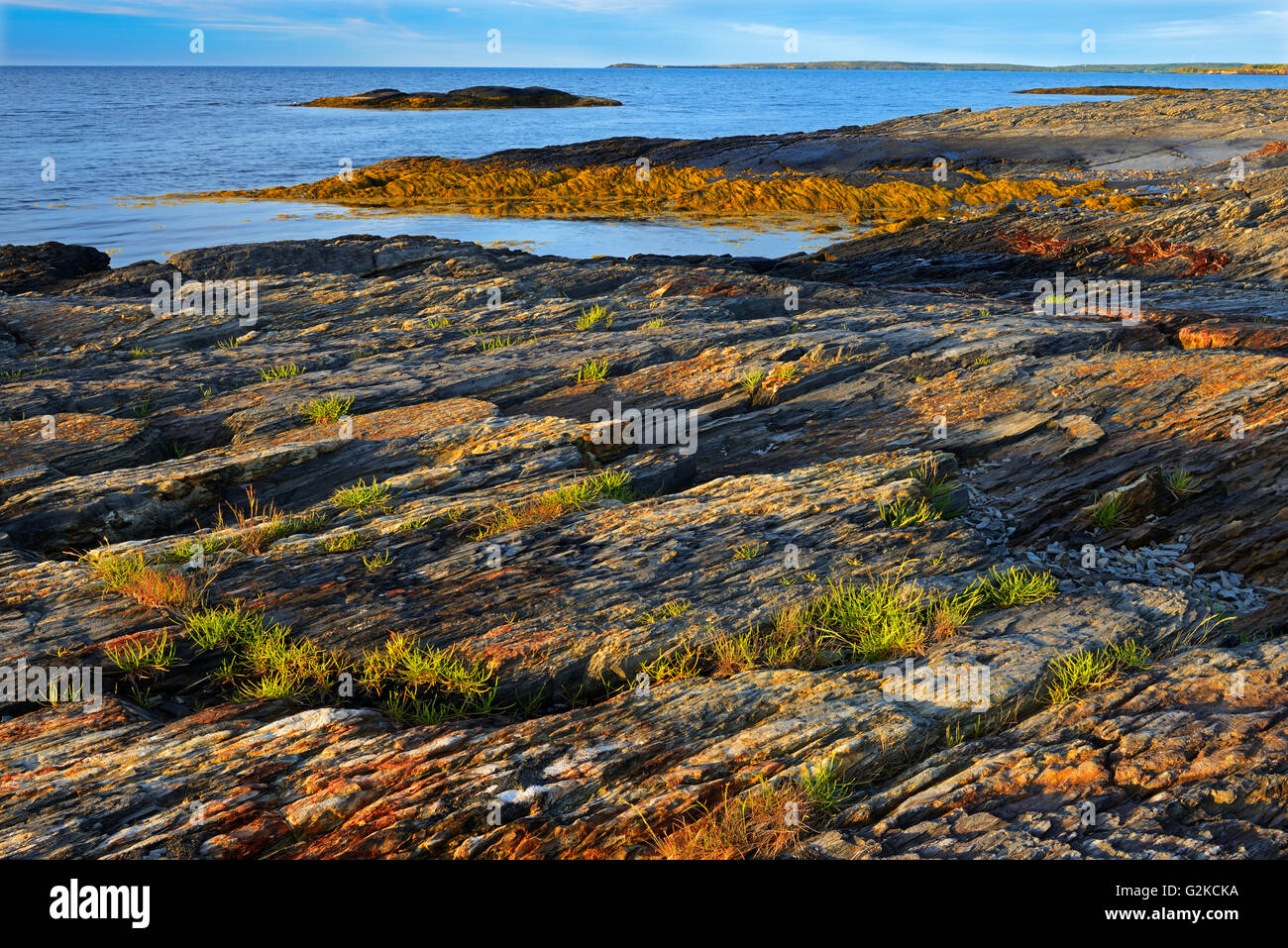 Rocky coastline of Lunenburg Bay (Atlantic Ocean) Blue Rocks Nova Scotia Canada Stock Photo