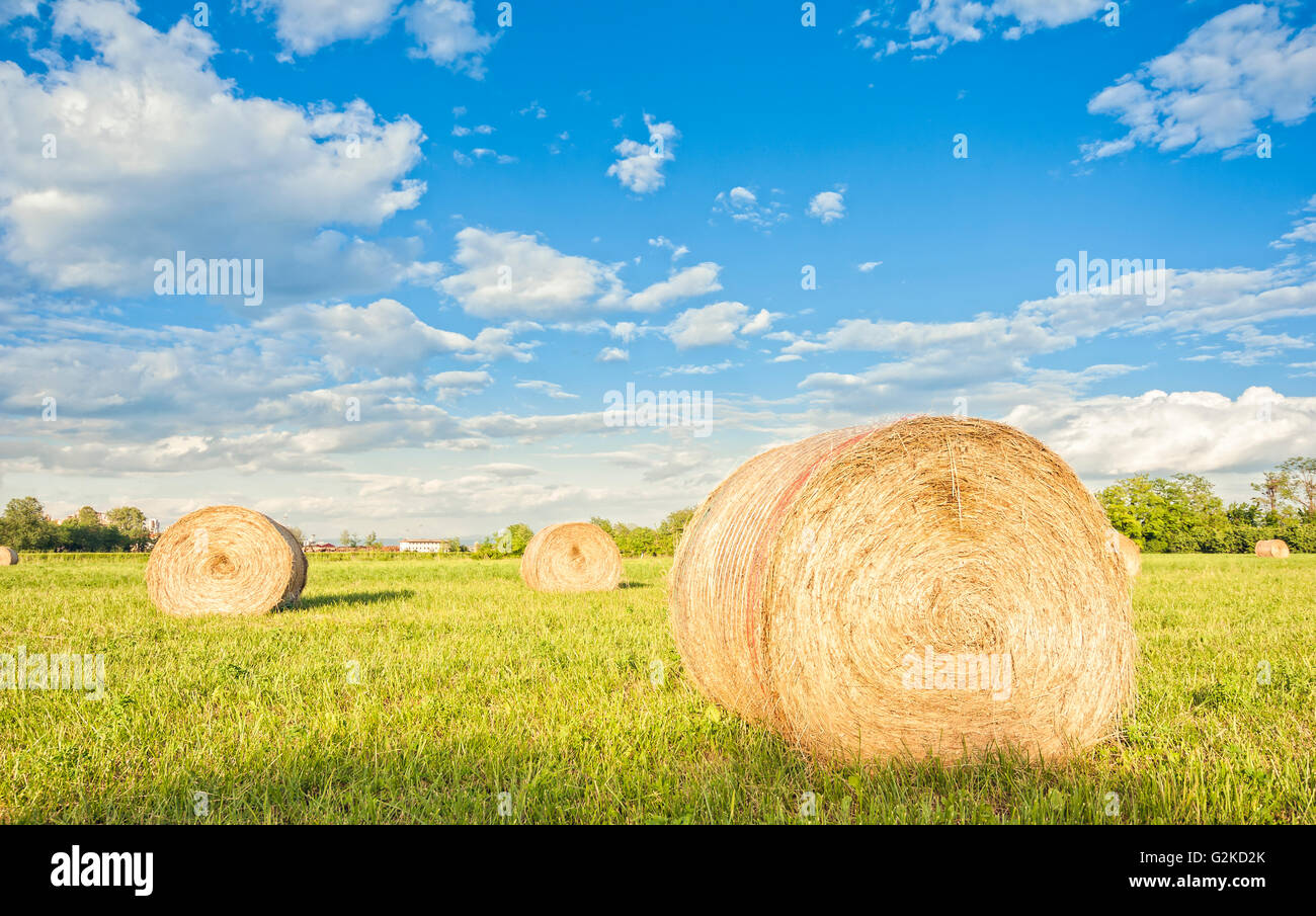 Big hay bale rolls in a green field with  blue sky and clouds Stock Photo