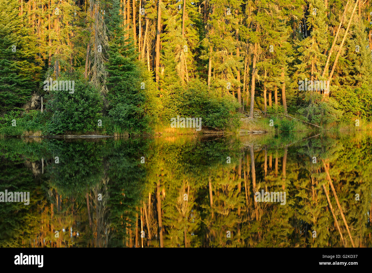 Back light reflection hi-res stock photography and images - Alamy