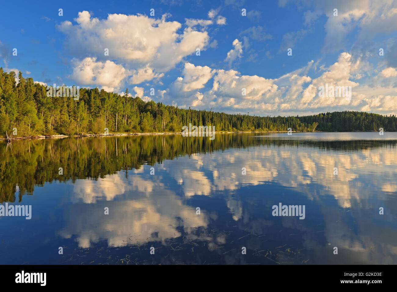 Ear falls ontario hires stock photography and images Alamy