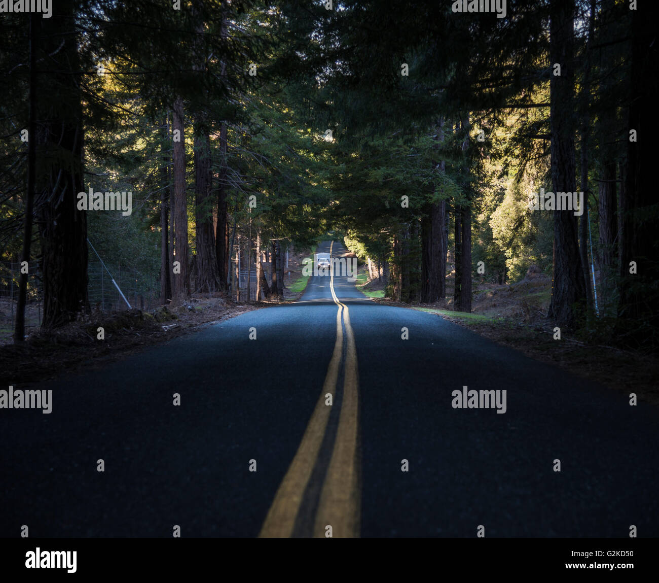 Car springs hires stock photography and images Alamy