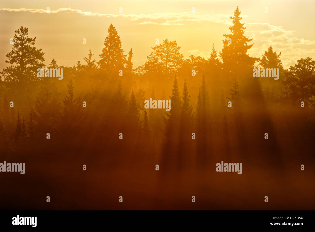 Strong morning sun hi-res stock photography and images - Alamy