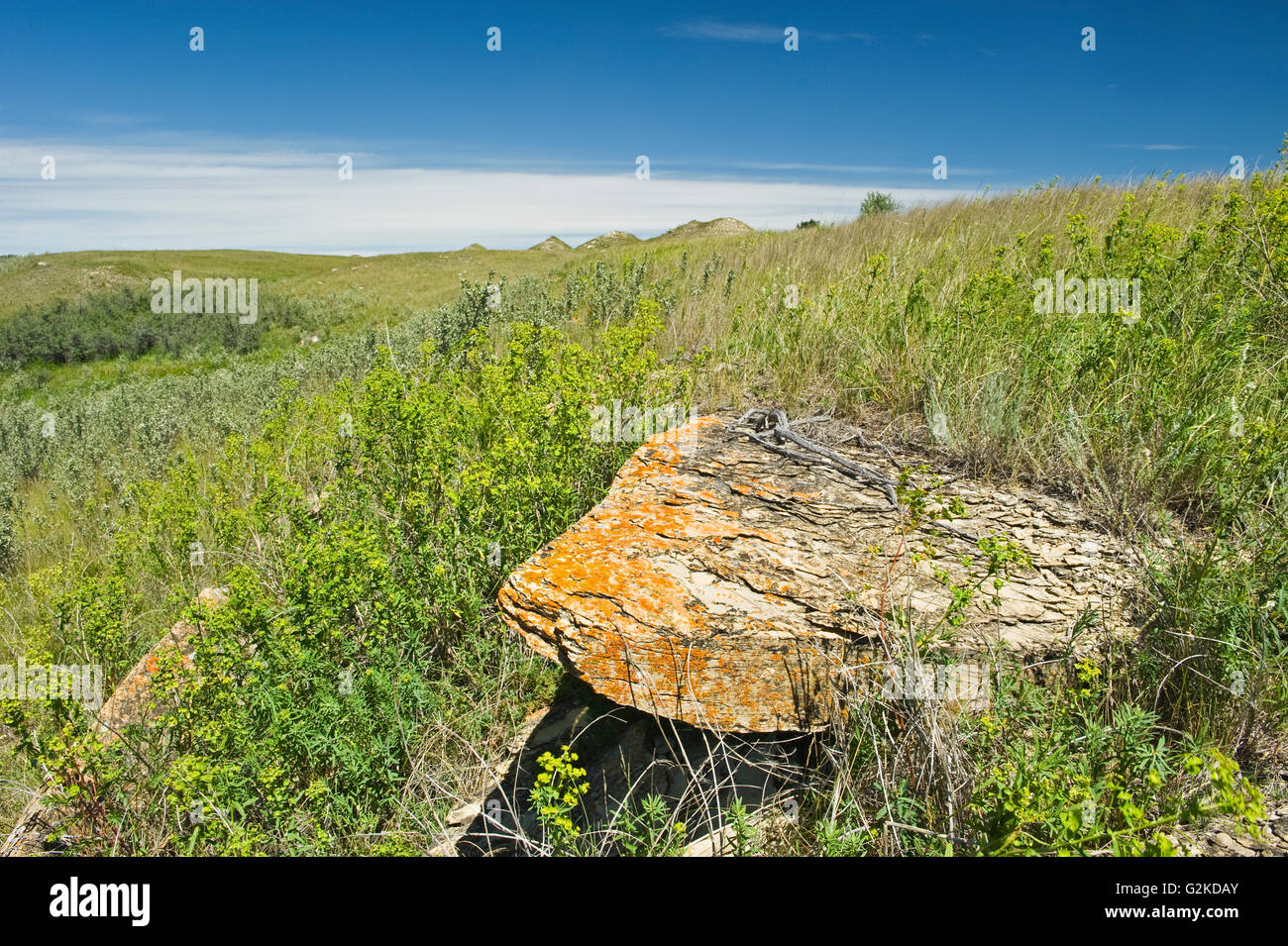 Estevan saskatchewan hires stock photography and images Alamy
