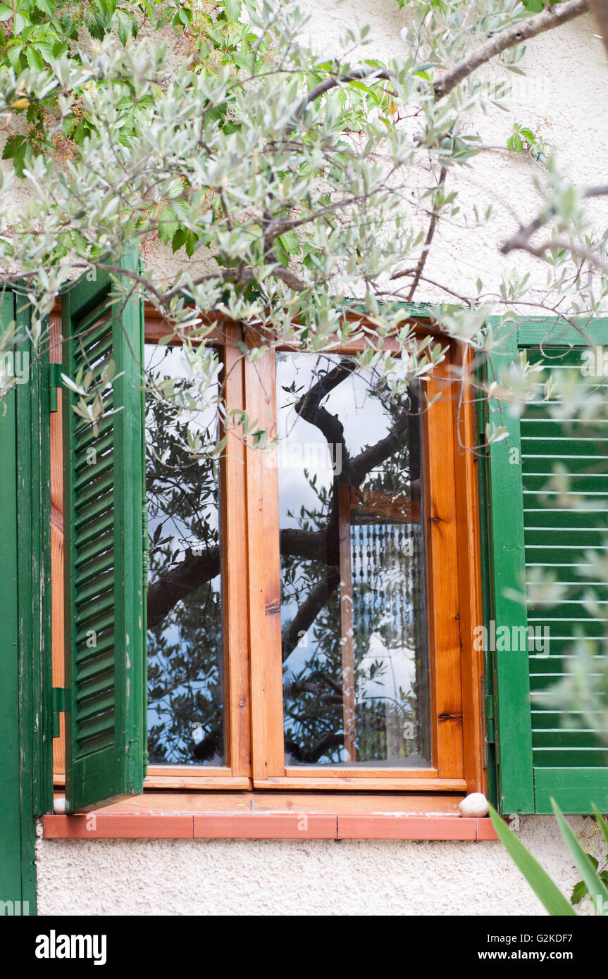 Windows - Reading Plans – Olive Tree