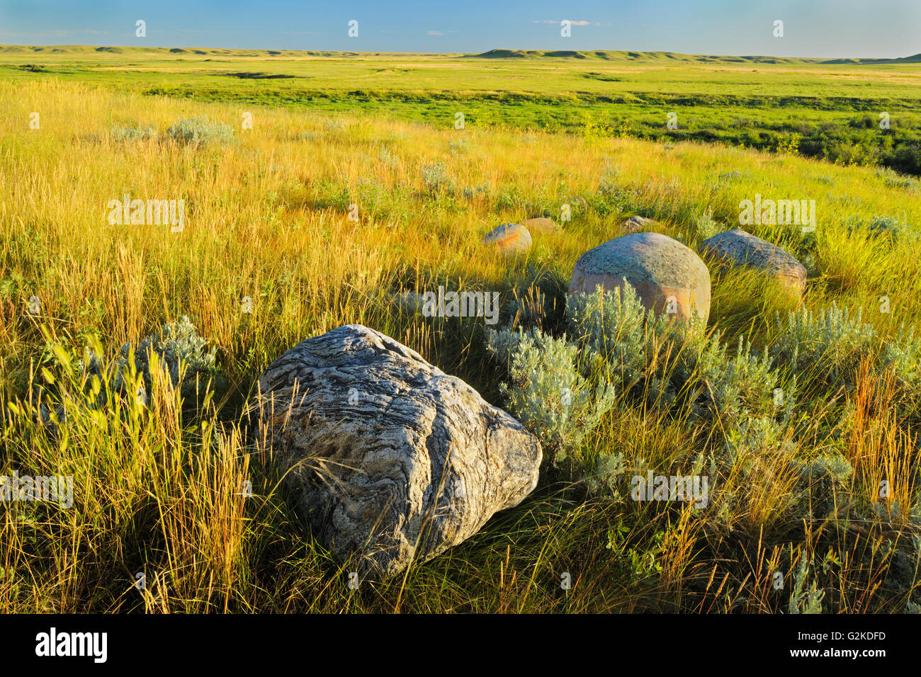 Prairie grasslands and rubbing stones (West Block) Grasslands National