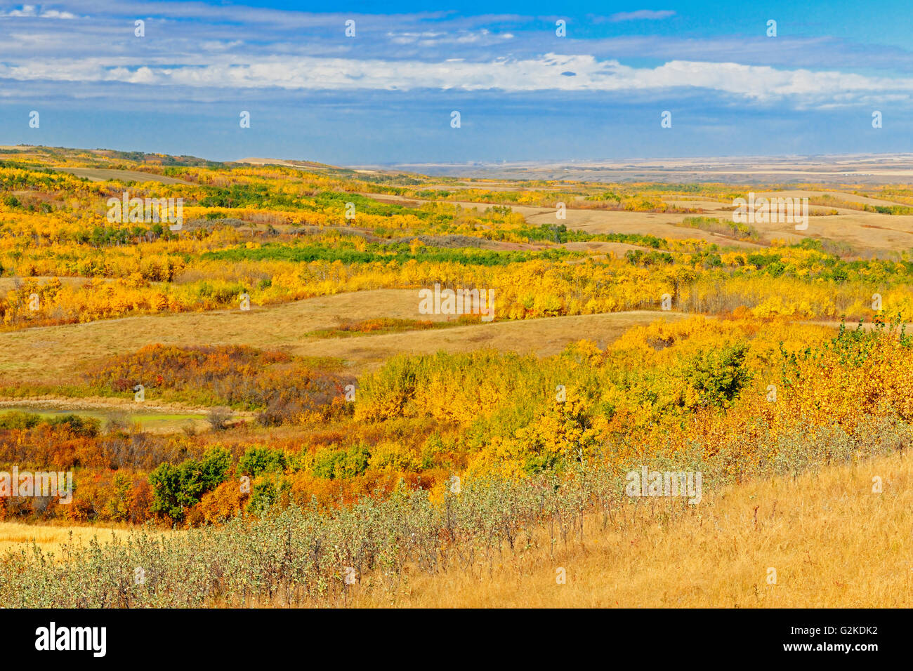 Autumn on the Canadian Prairie Baljennie Saskatchewan Canada Stock Photo