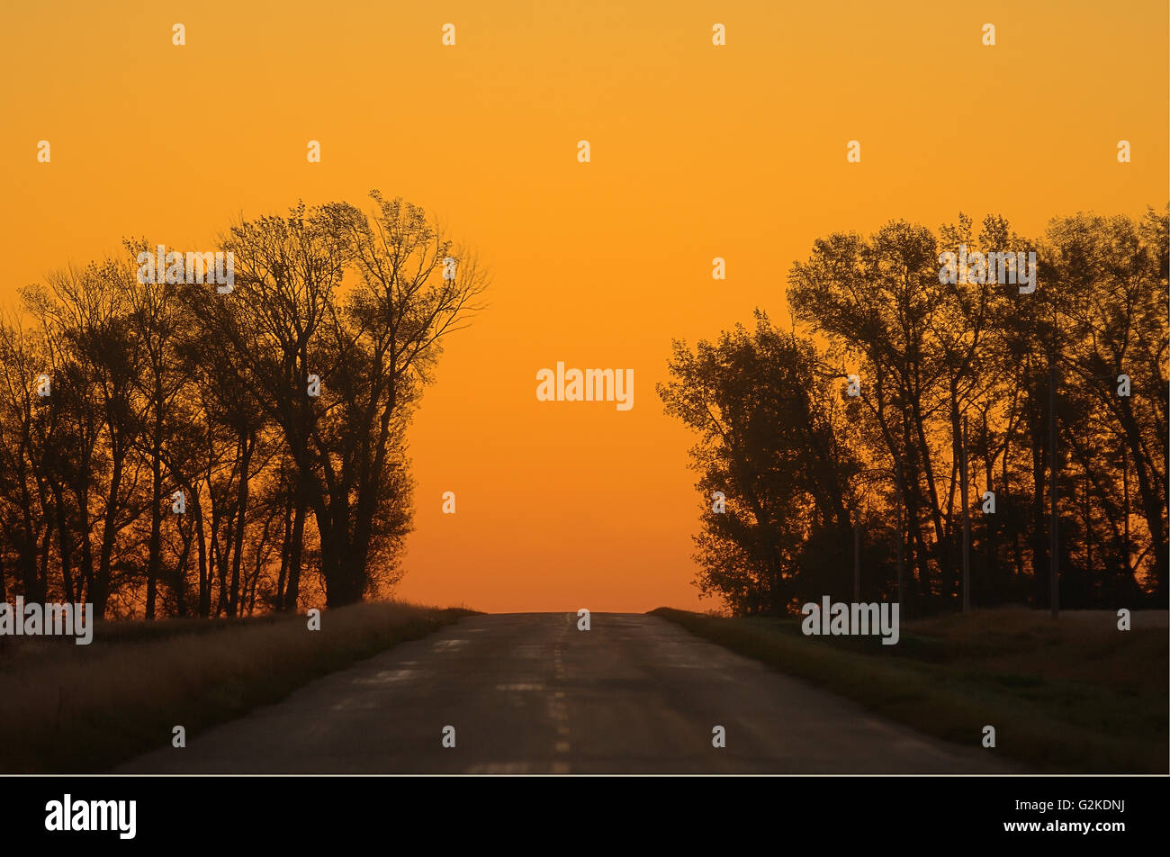 Country road at dawn Swift Current Saskatchewan Canada Stock Photo