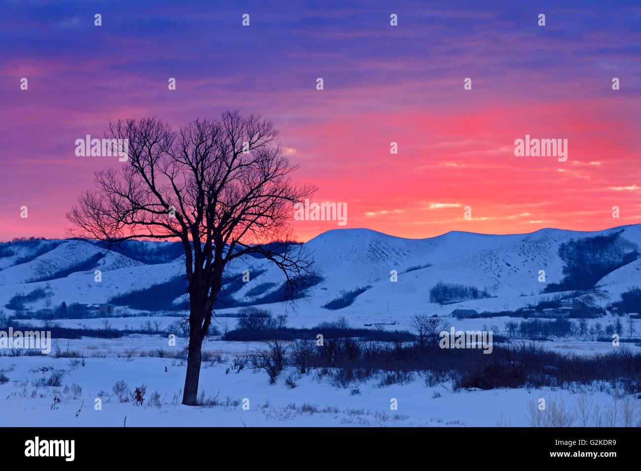 Dawn light on the hills of the Qu' Appelle Valley in winter near Craven Saskatchewan Canada Stock Photo