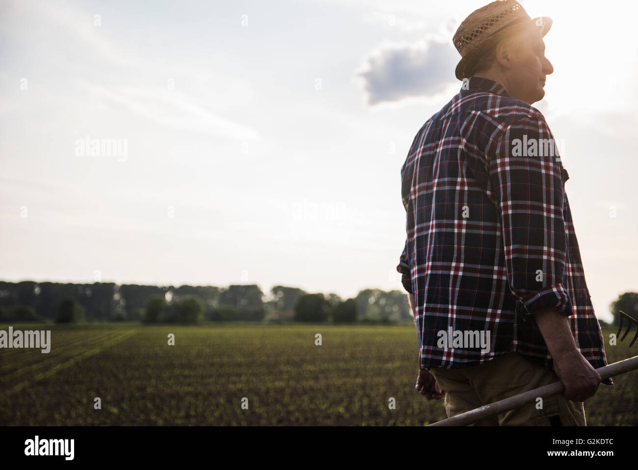 Farmer holding rake next to a field Stock Photo - Alamy