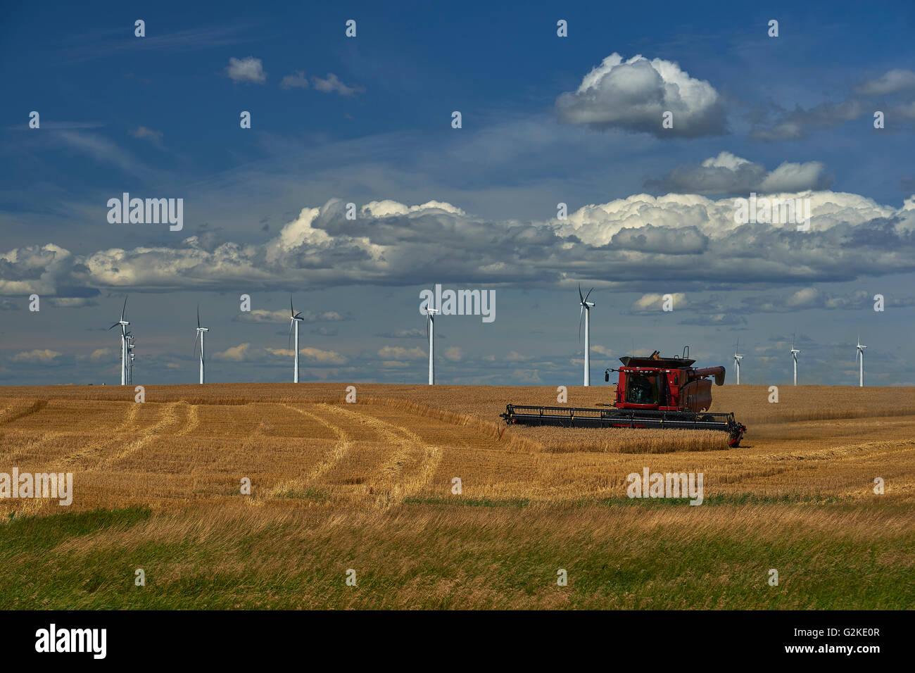 Combine, Grain Field Wind Generation, near Fort McLeod, Alberta, canada Stock Photo
