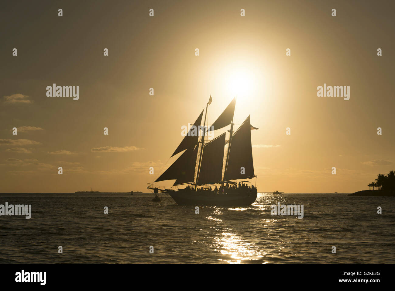 Sailing ship at sunset, Key West, Key West, Florida Keys, Florida, United States Stock Photo