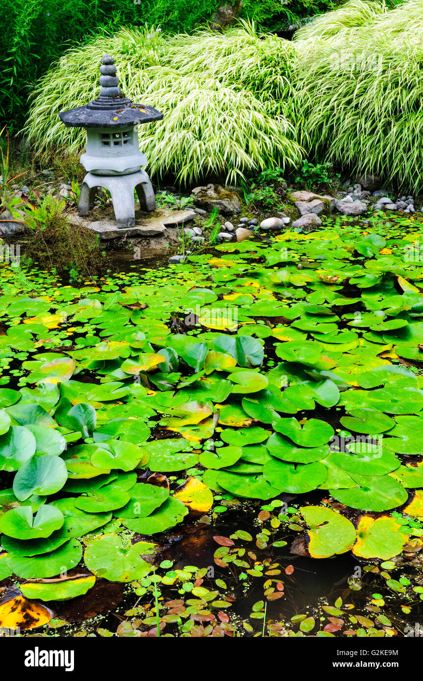 A Japanese lantern sits beside a water lily pond in the Japanese Garden