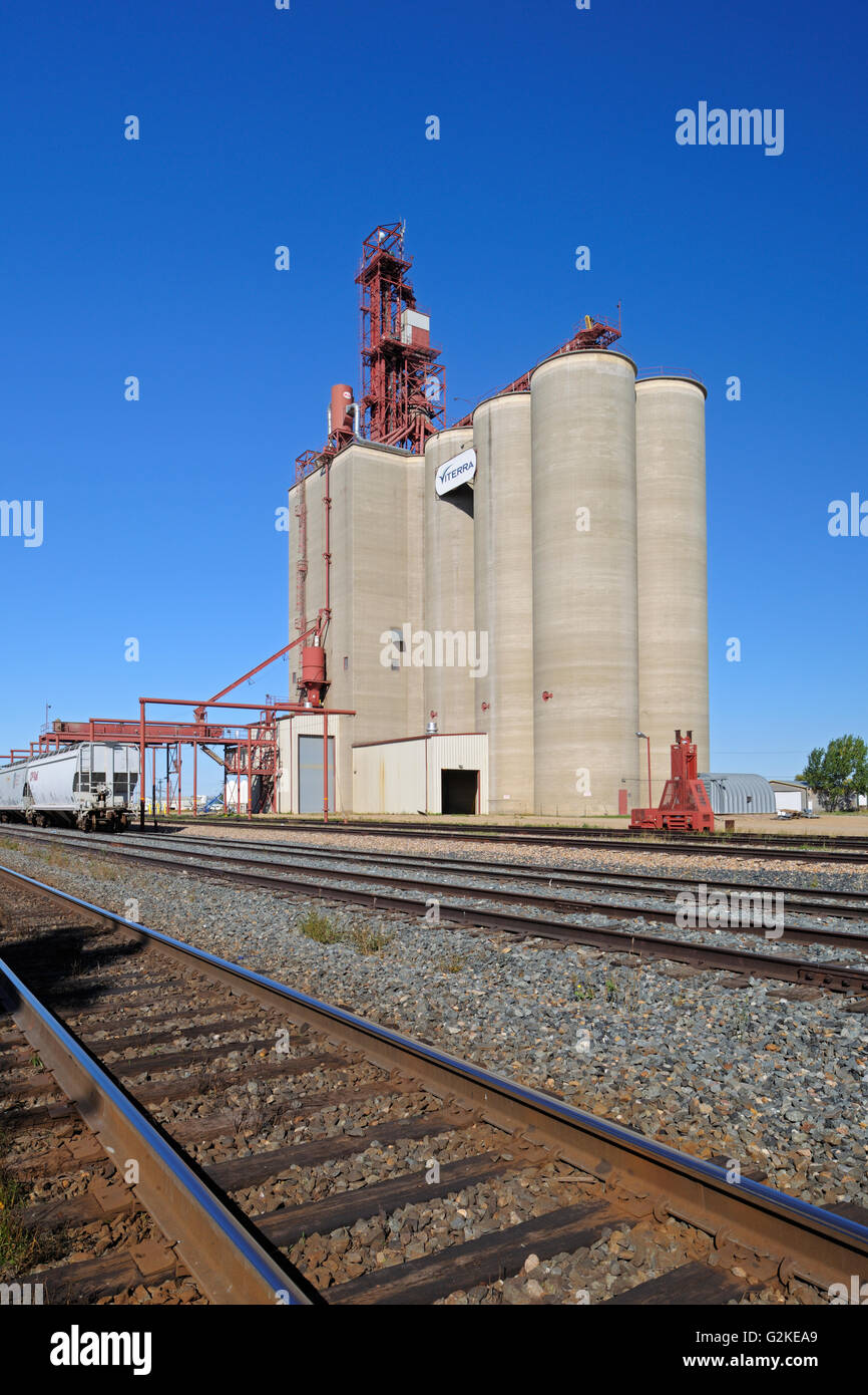 Inland grain terminal and railway tracks Maple Creek Saskatchewan Canada Stock Photo