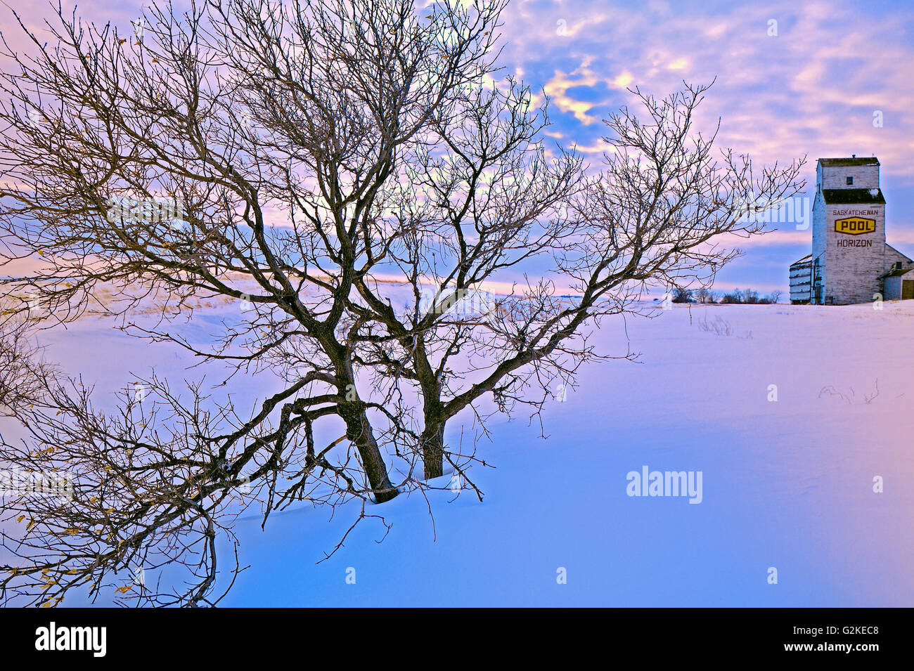 Tree horizon hi-res stock photography and images - Alamy