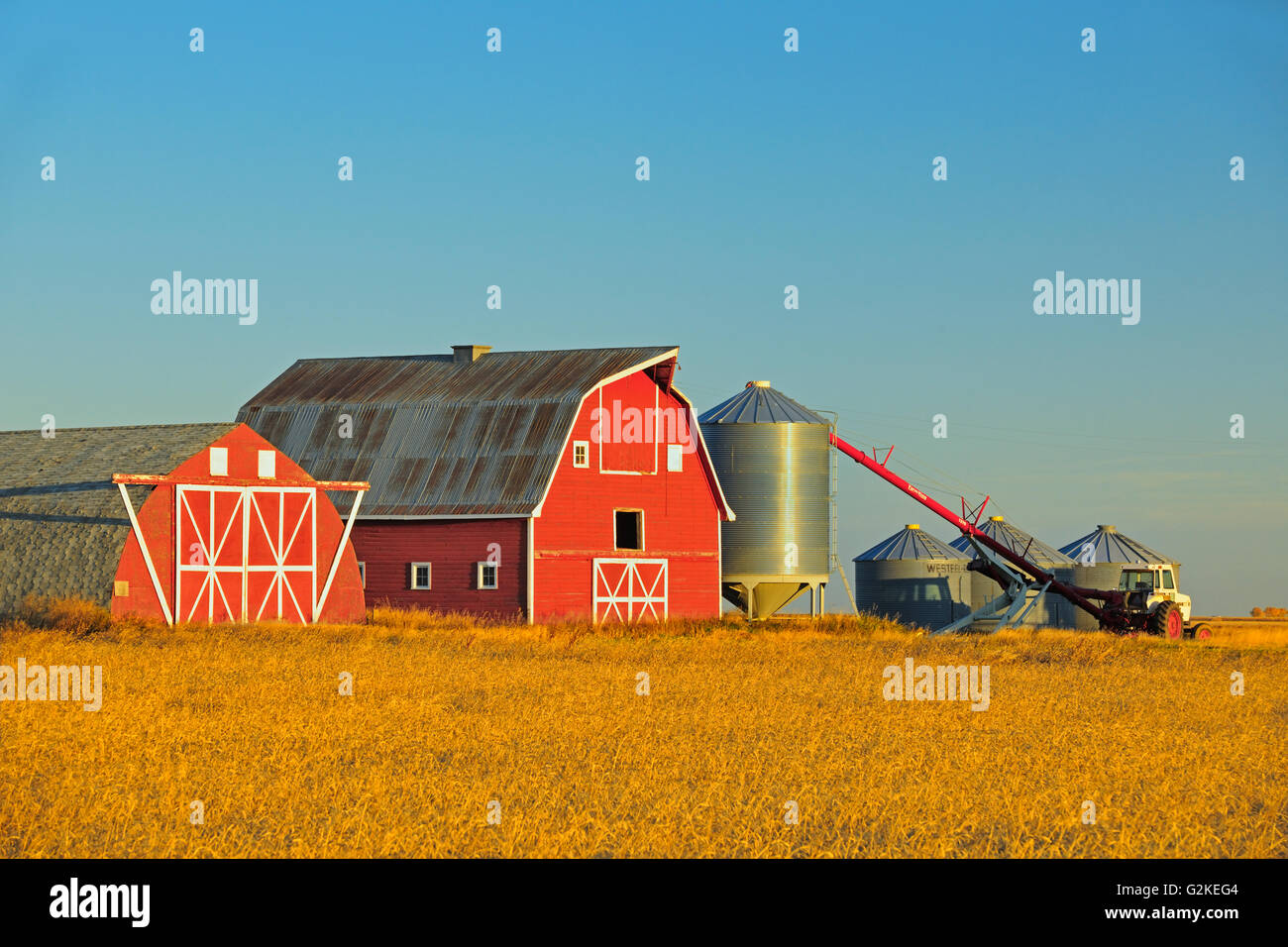 Red barn, grain bins and auger at sunrise near Moose Jaw Saskatchewan