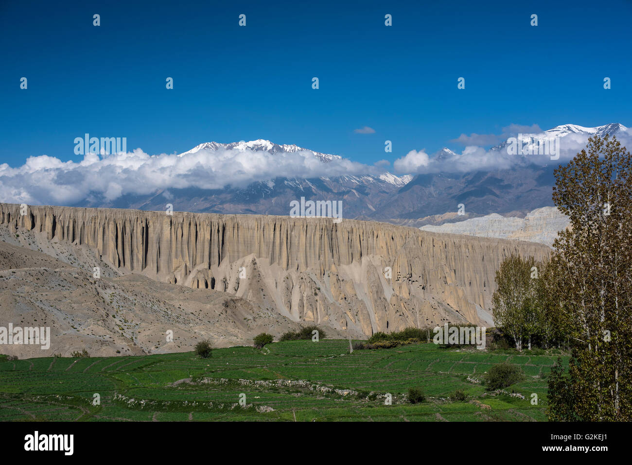 Snowy mountains, mountain scenery, eroded landscape and green fields near Yara, Kingdom of Mustang, Upper Mustang, Himalaya Stock Photo