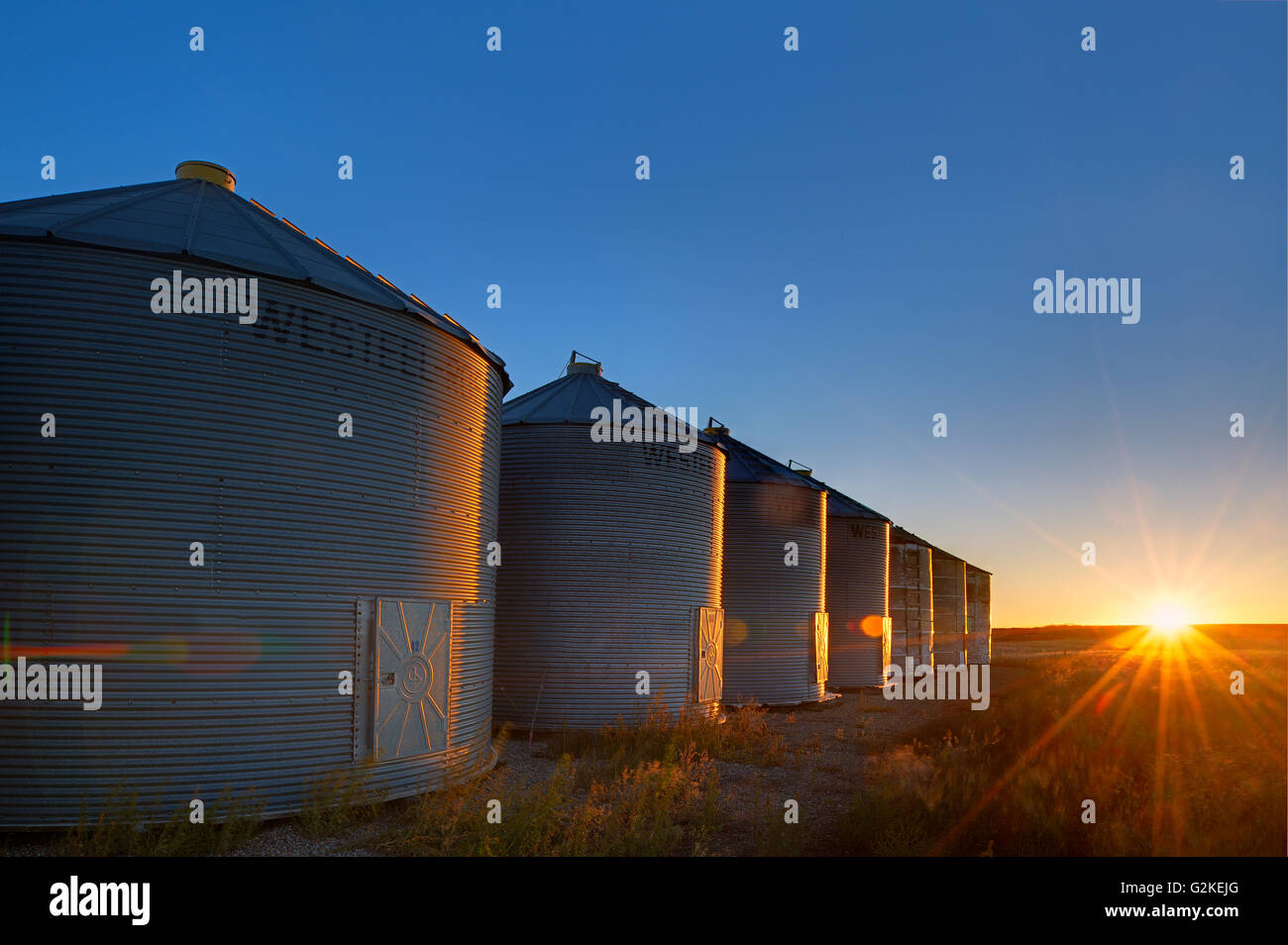 Grain bins at sunrise near Swift Current Saskatchewan Canada Stock Photo