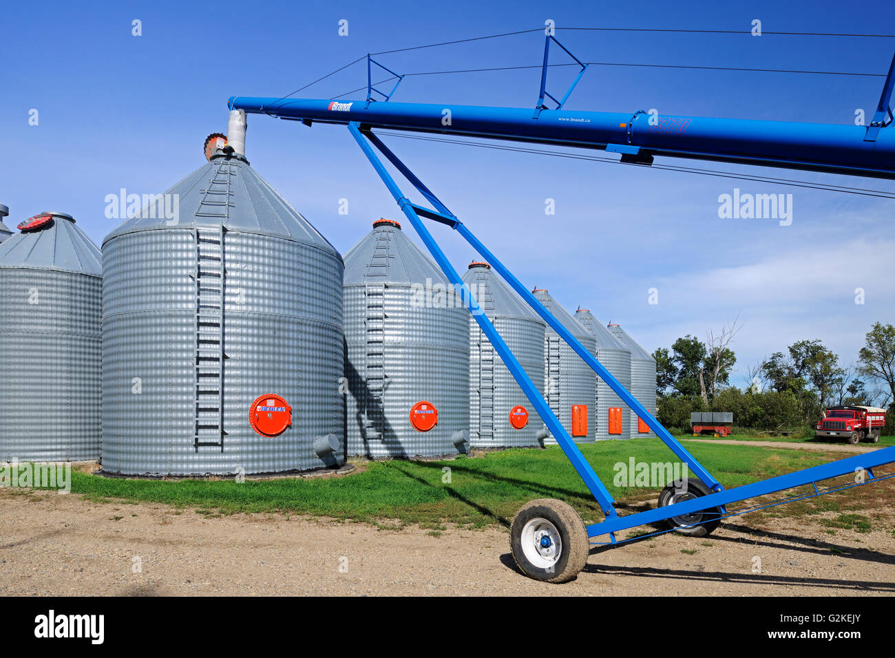 Grain bins and auger  in farmyard - Property Released Yellow Grass Saskatchewan Canada Stock Photo