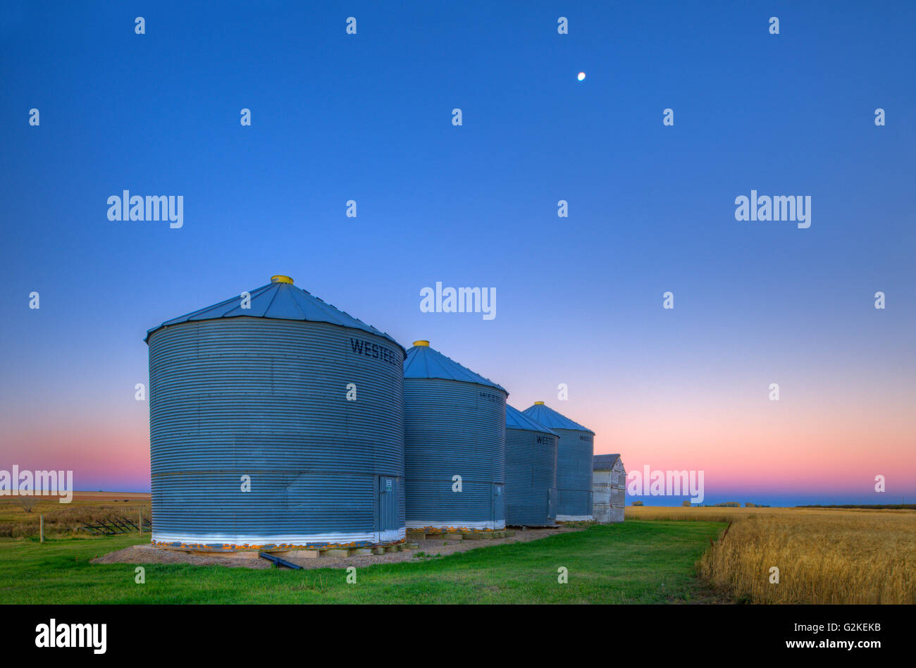 Grain bins at dawn with moon near Swift Current Saskatchewan Canada Stock Photo