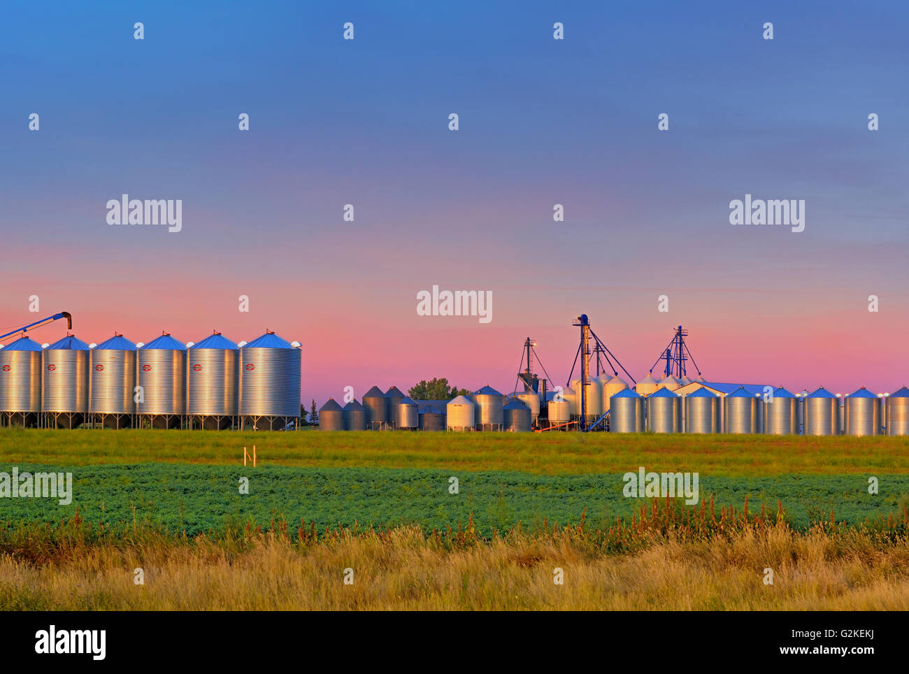 Grain bins at dawn Pasqua Saskatchewan Canada Stock Photo