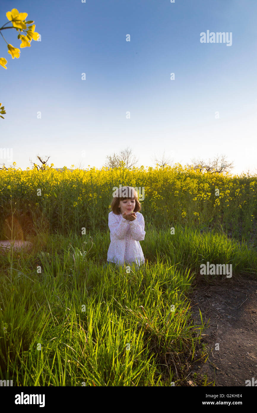 Little girl standing in rape field Stock Photo - Alamy
