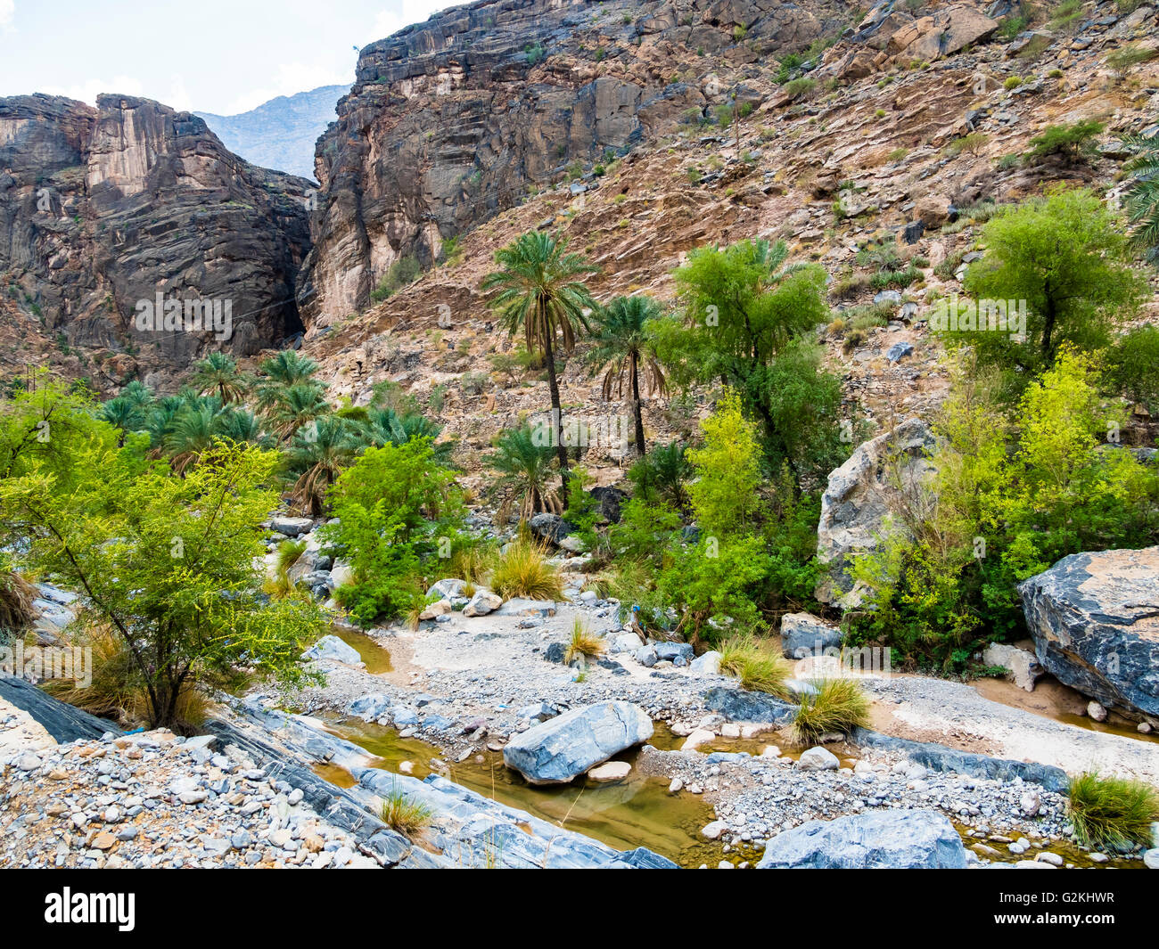 Wadi al akhdar hires stock photography and images Alamy