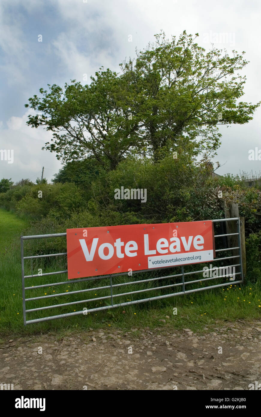 Brexit Vote Leave sign Cornwall 2016  UK HOMER SYKES Stock Photo