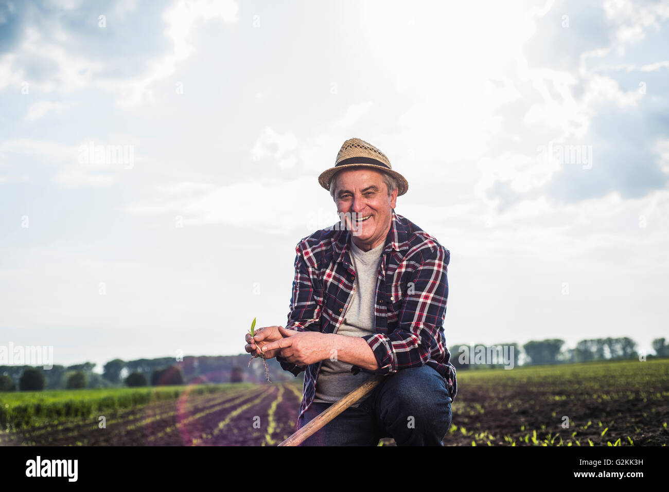 Portrait of smiling farmer in a field holding crop Stock Photo - Alamy