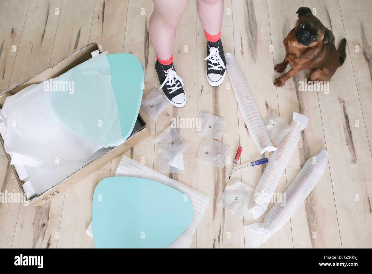 Woman's legs surrounded by unassembled table pieces with her dog Stock Photo