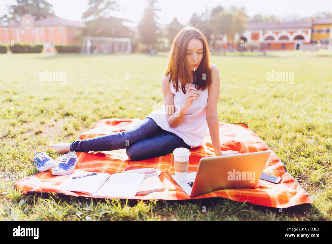 Student at the park working with laptop Stock Photo - Alamy