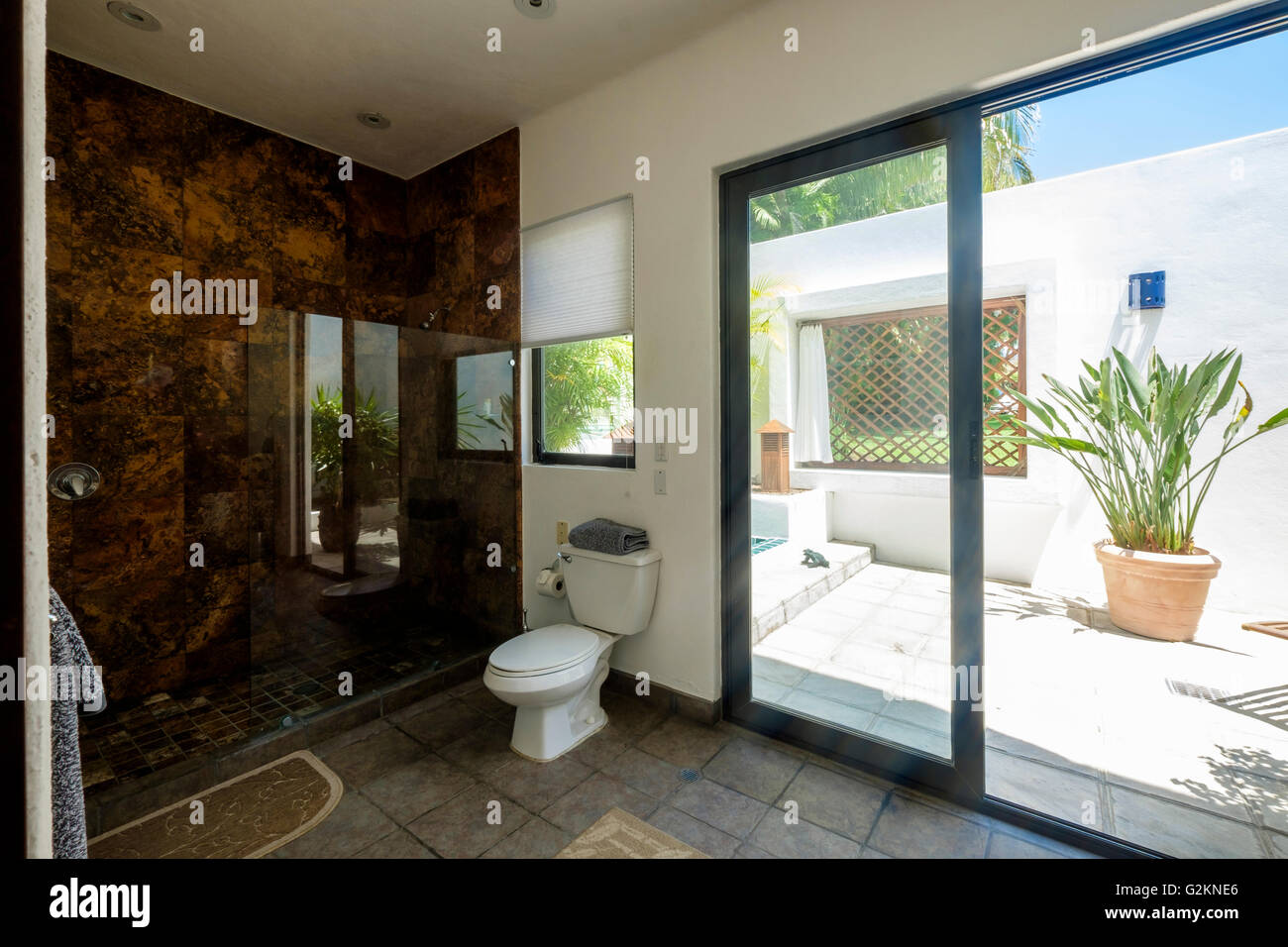Toilet and shower in a residential home Stock Photo