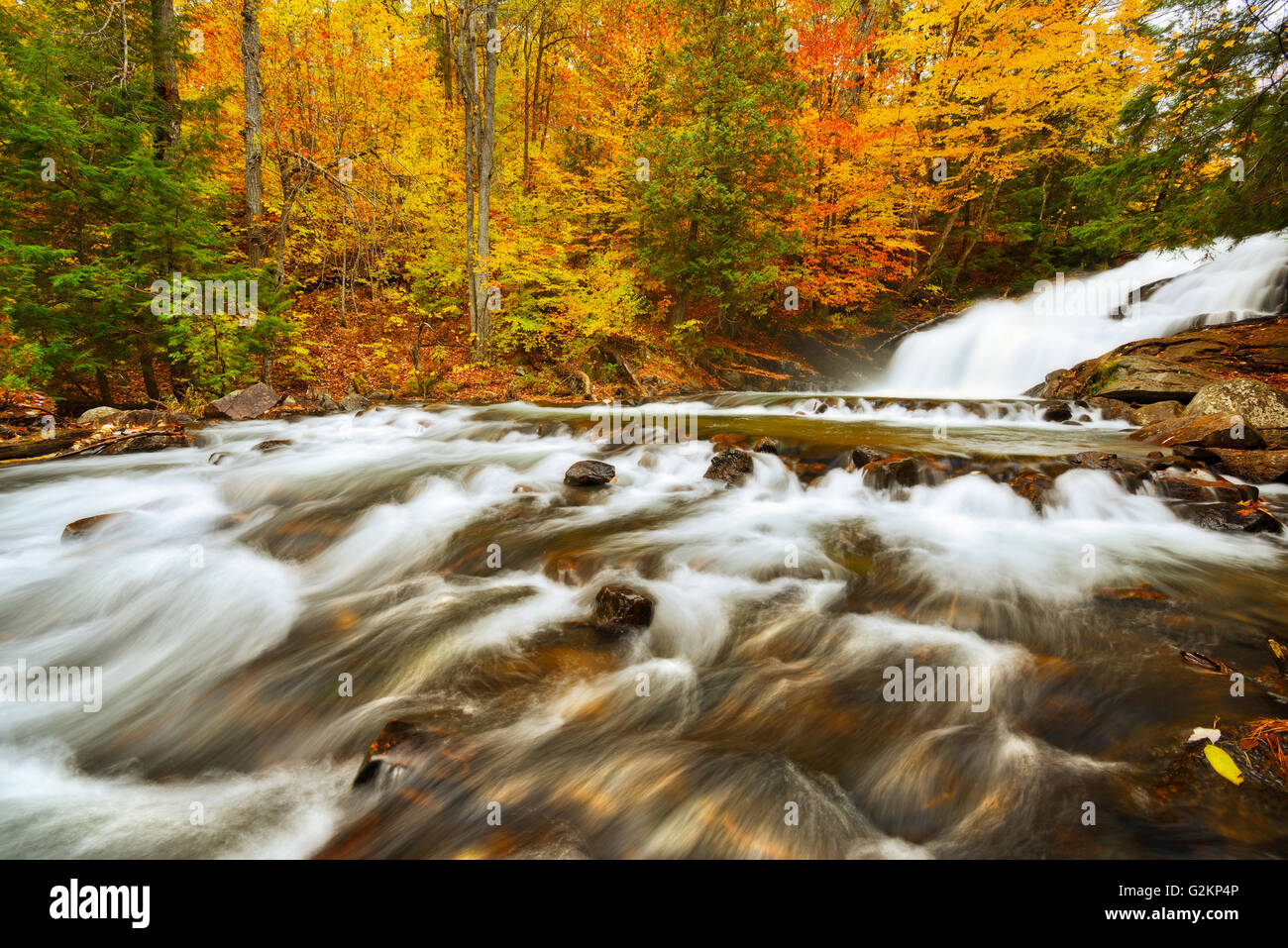 The Skeleton River at  Hatchery Falls in autumn Rosseau Ontario Canada Stock Photo