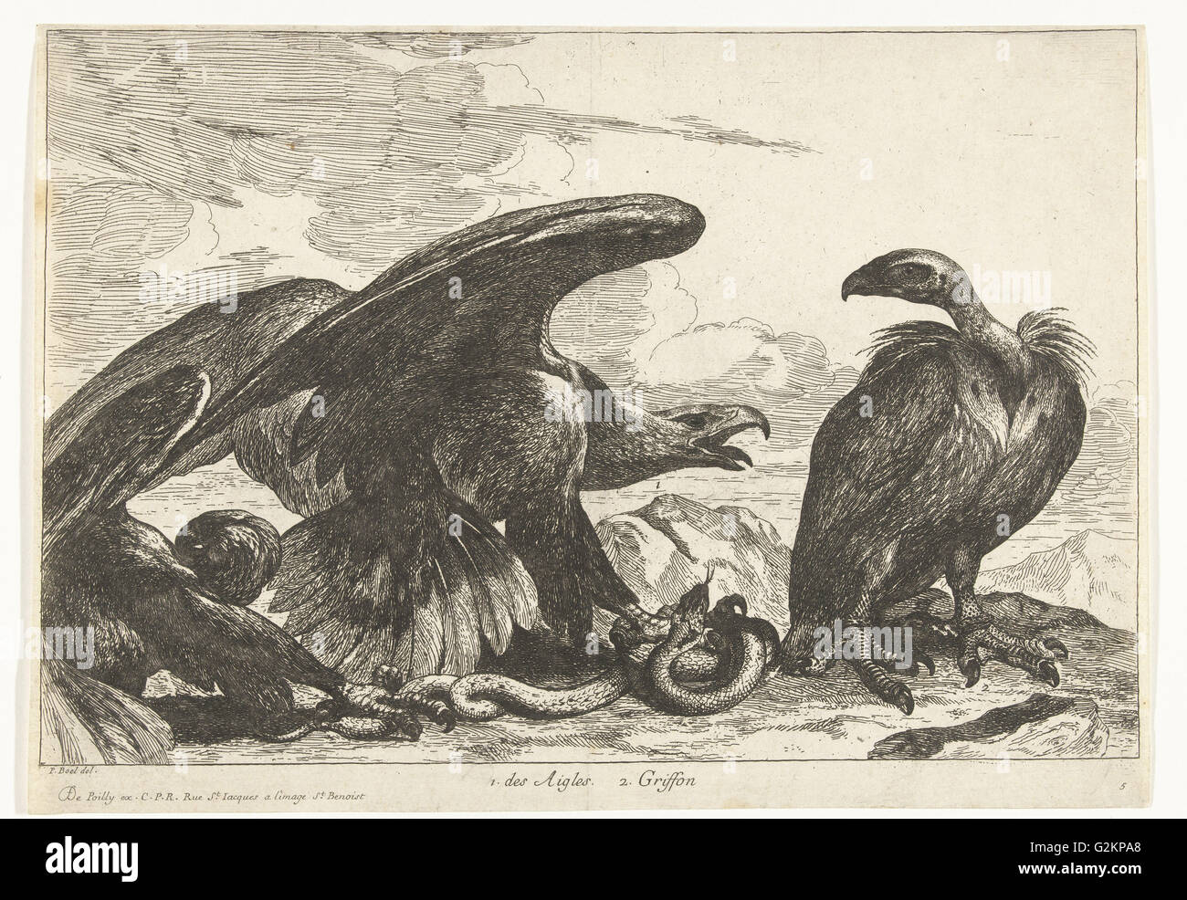 Vulture and an eagle with snake, print maker: Peeter Boel attributed to, Peeter Boel, De Poilly, 1670 - 1674 Stock Photo