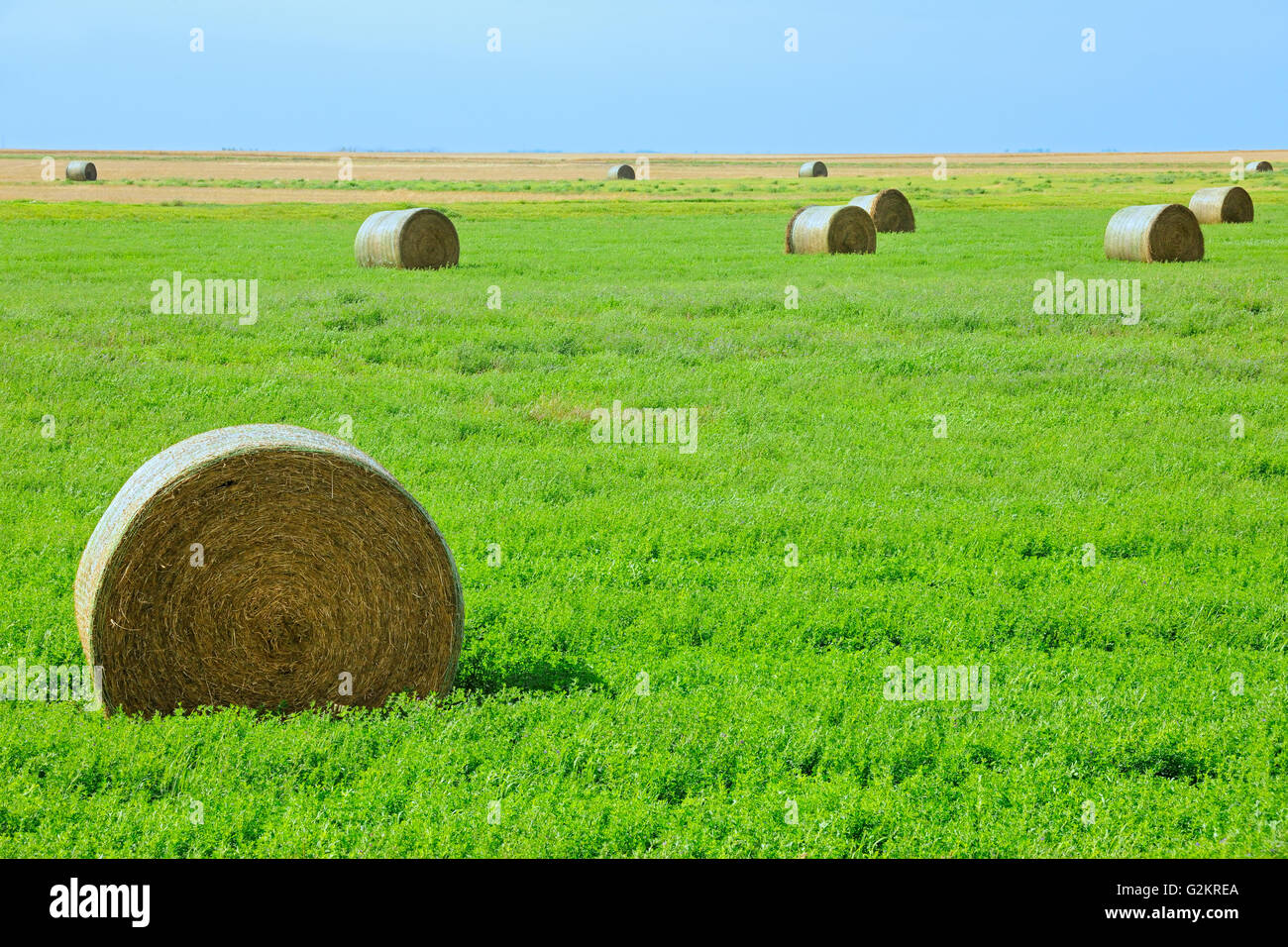 Yellow Bales Stock Photos Yellow Bales Stock Images Alamy Images, Photos, Reviews